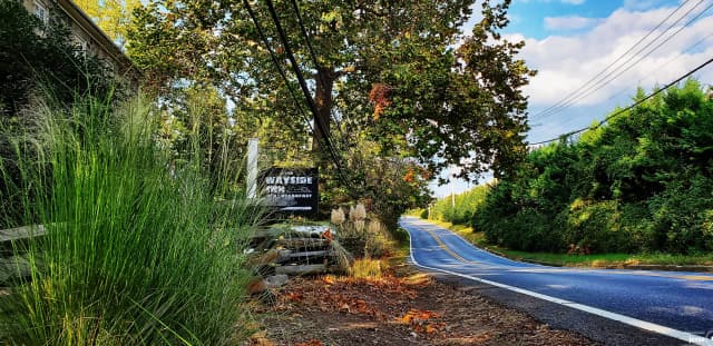 A curving rural road bordered by lush greenery and trees under a blue sky. A sign 'The Wayside Inn Bed & Breakfast' and tall grass line the left side, conveying a peaceful, scenic vibe.