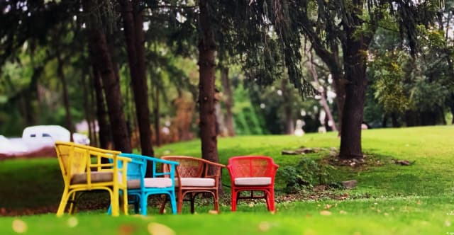 Colorful outdoor chairs with view of forest